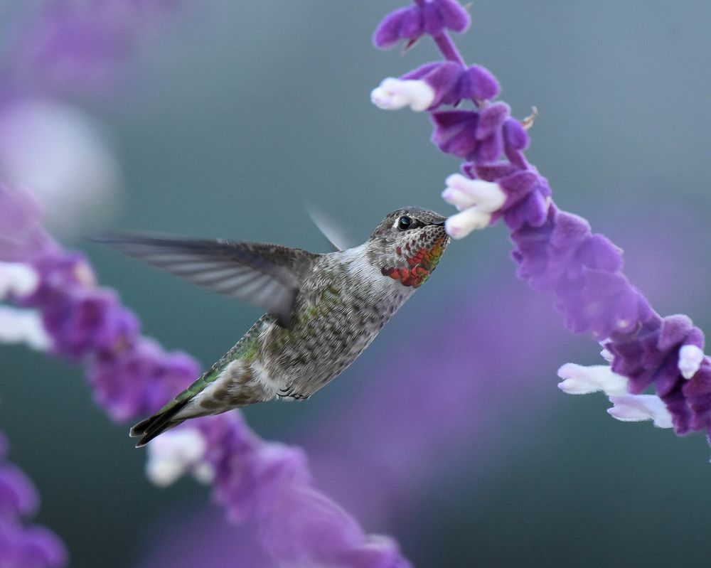 Photograph by Antara Chakravarty