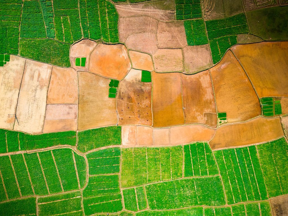 Photograph by Anirban Pan