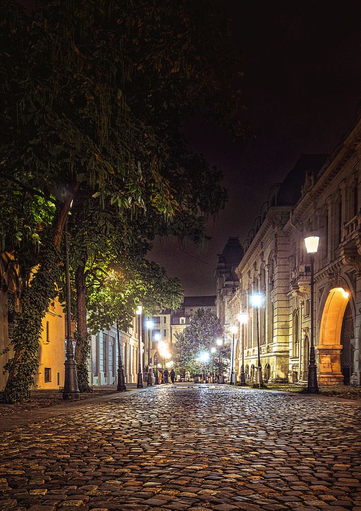 Фотография автора Leompescu Emanuel