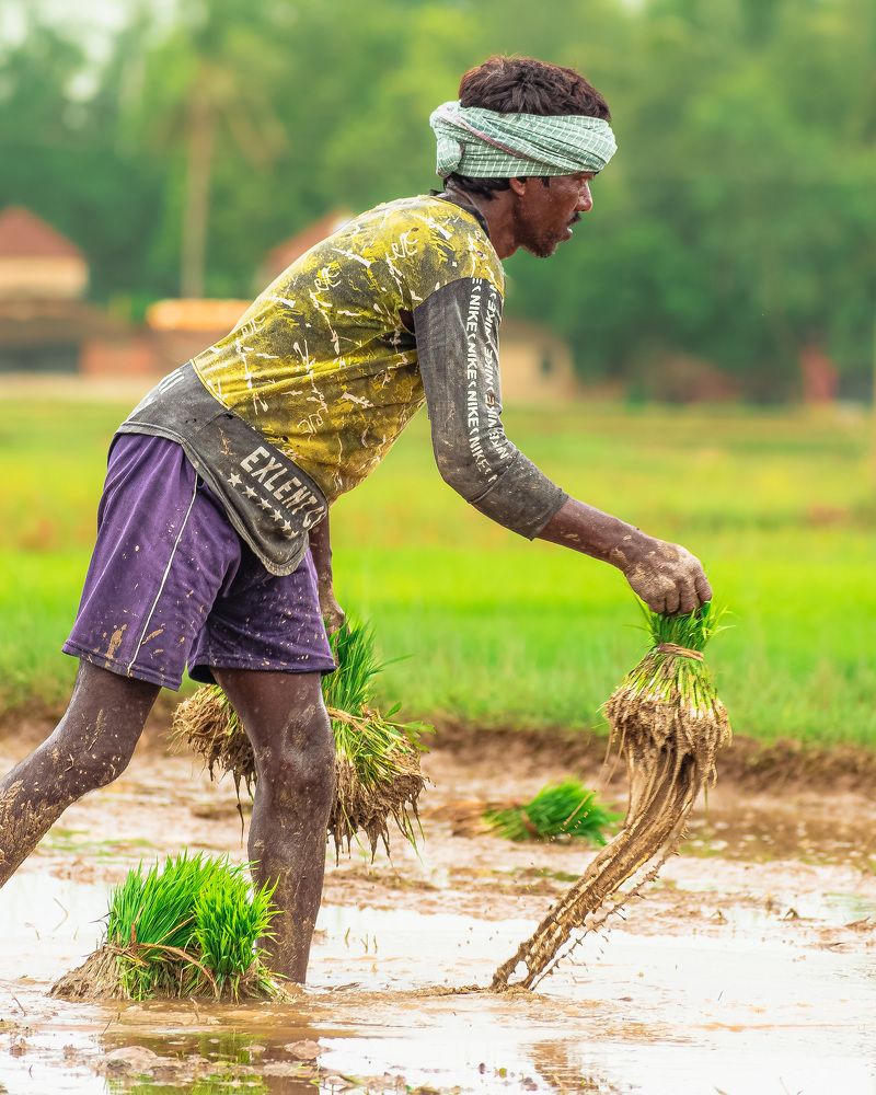 Photograph by Anirban Pan