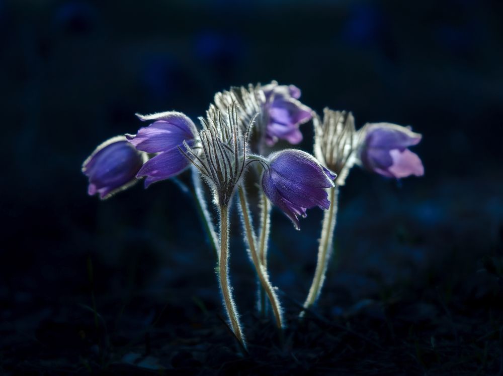 Дружные ребята