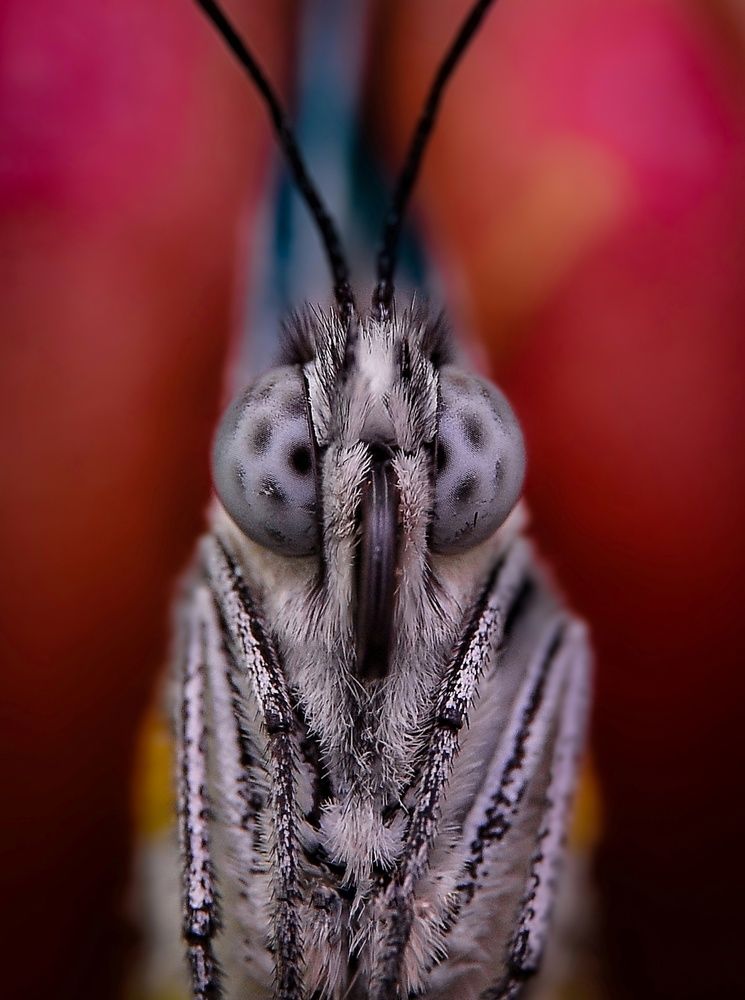 Photograph by Kasun Wickramasinghe