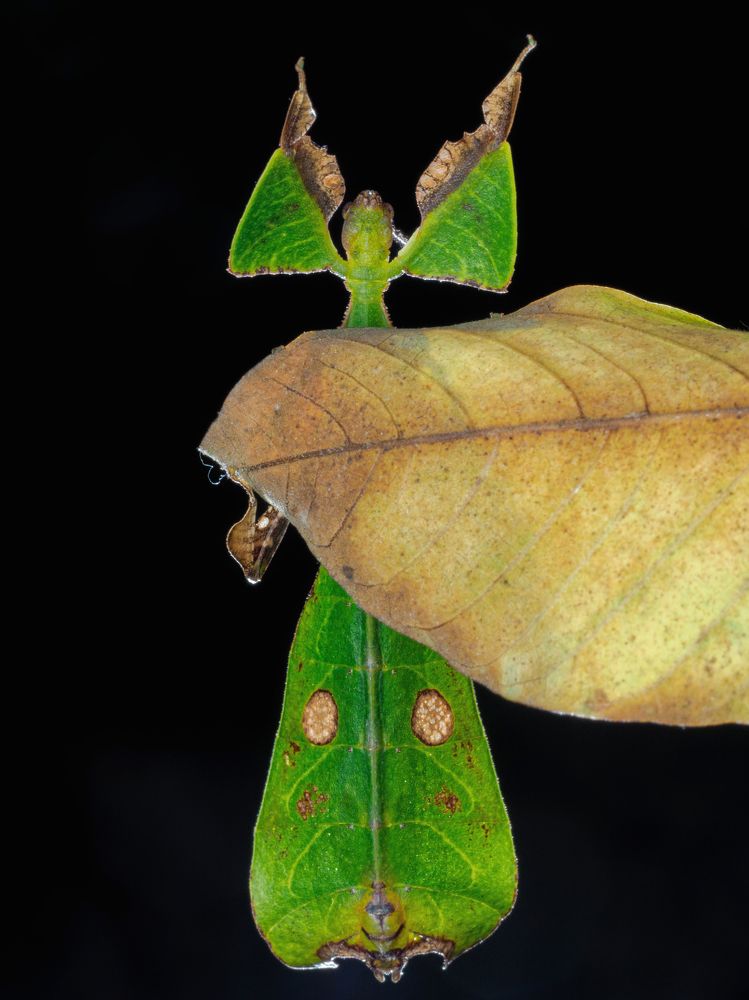 Photograph by KENNY FOONG