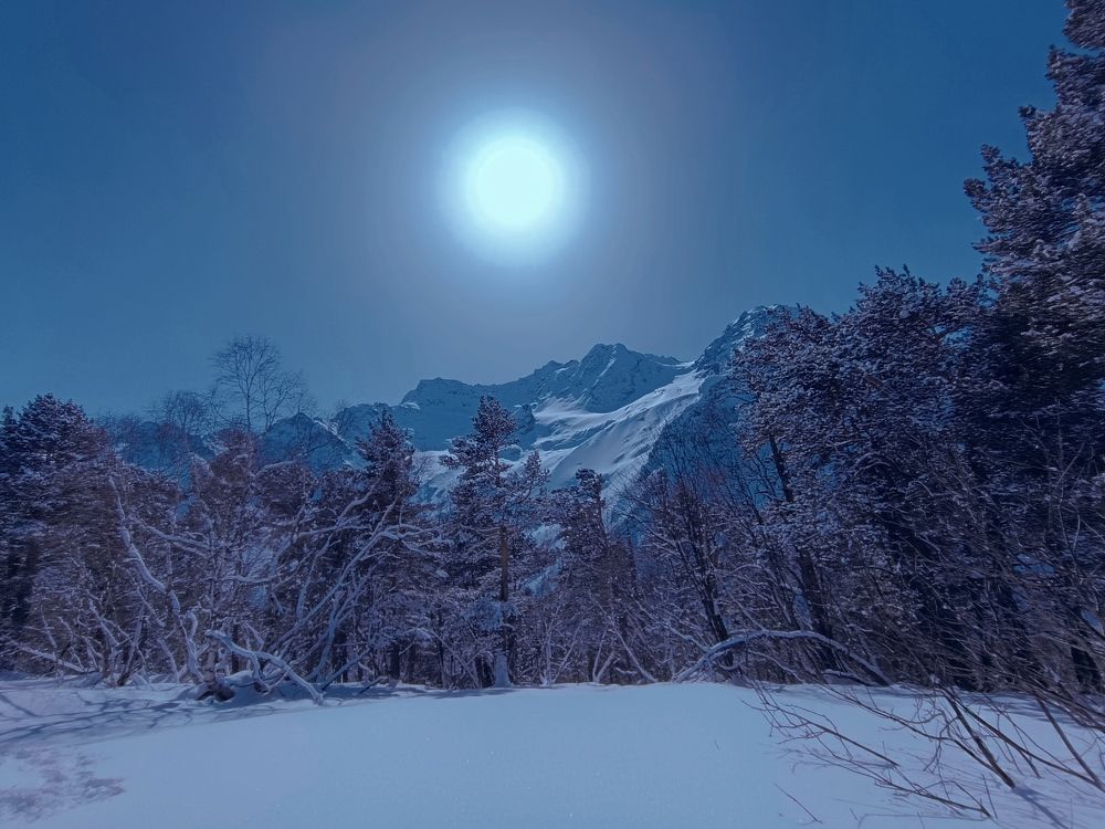 Фотография автора OXANA MARSOVA