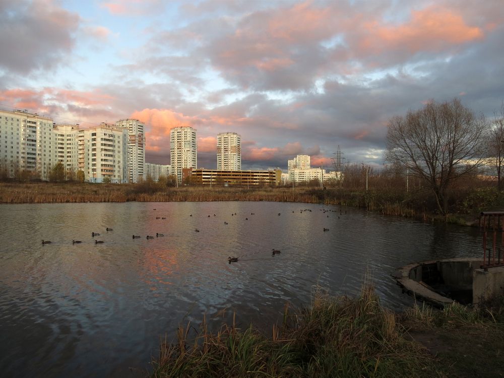 Photograph by Андрей