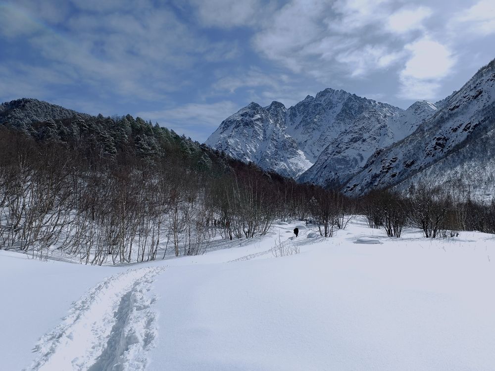 Фотография автора OXANA MARSOVA