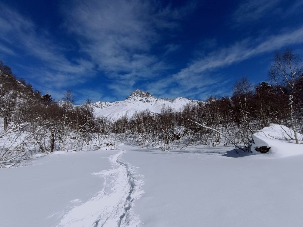 Фотография автора OXANA MARSOVA