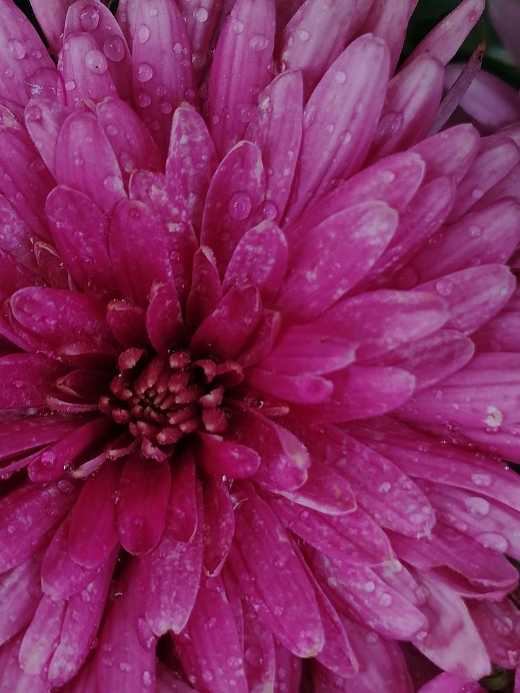 Photograph by Наталья S.