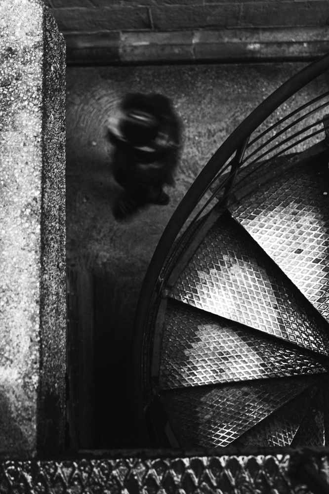 Photograph by Zeynep Aybüke Mutlu