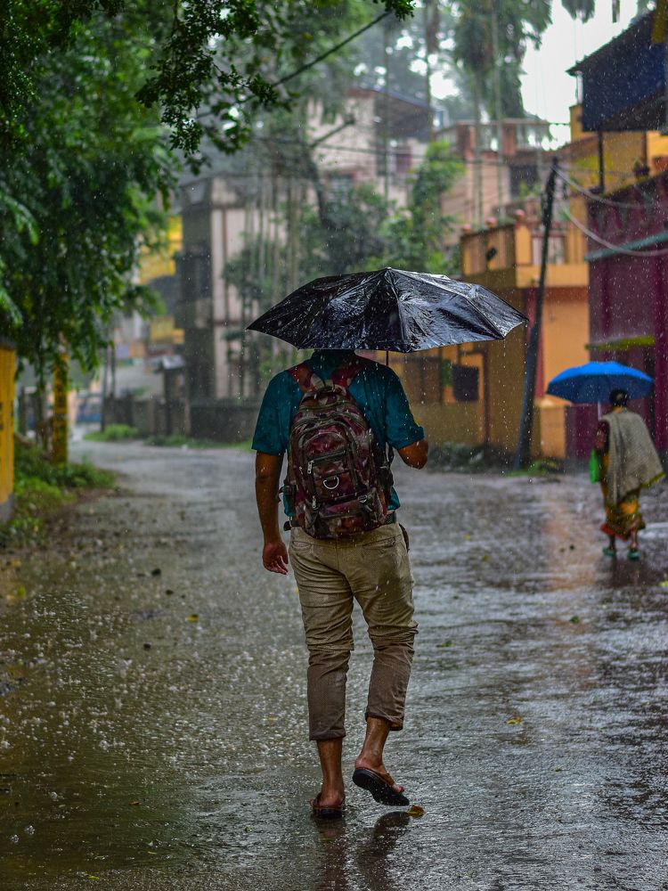 A rainy day ♥️♥️♥️