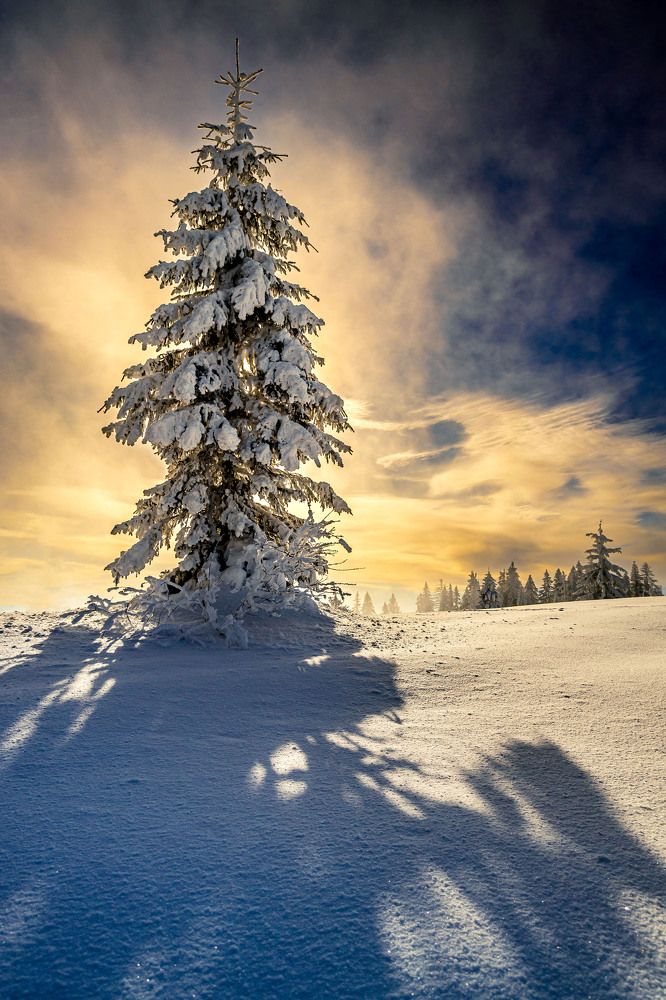 Photograph by Artur Duda