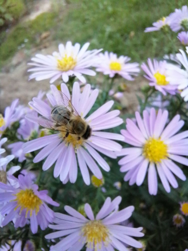 Photograph by Vesna Petkoska