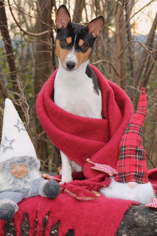 Photograph by Диана Ульянцева