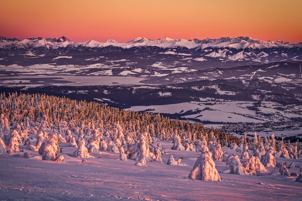 Photograph by Artur Duda