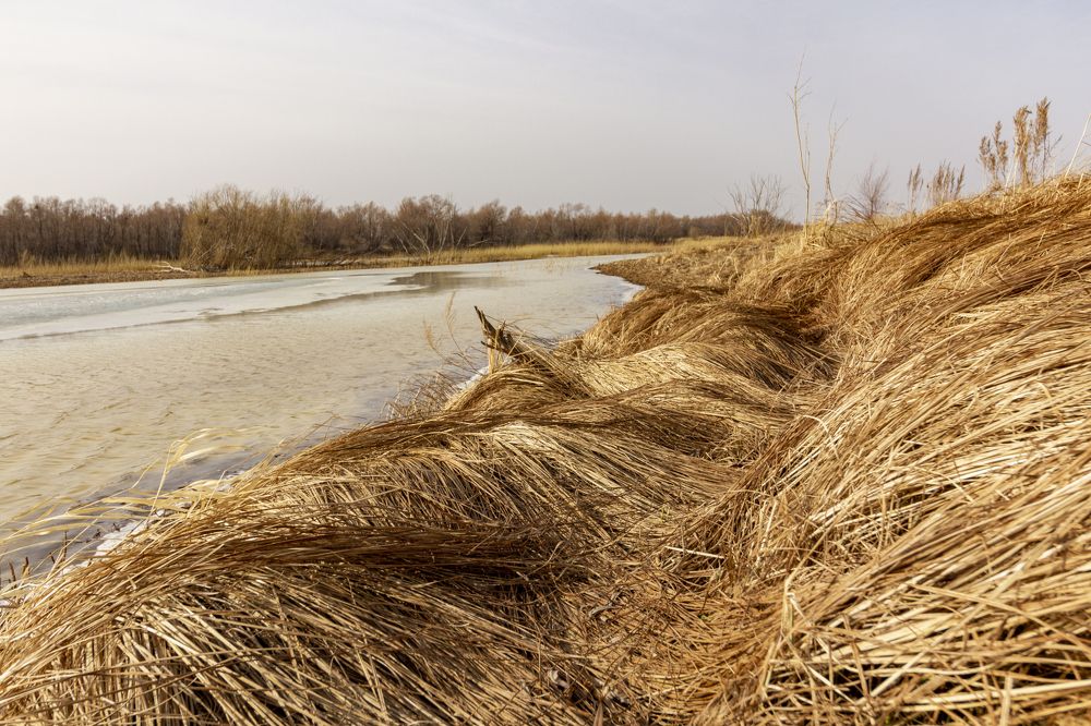 Осенние берега
