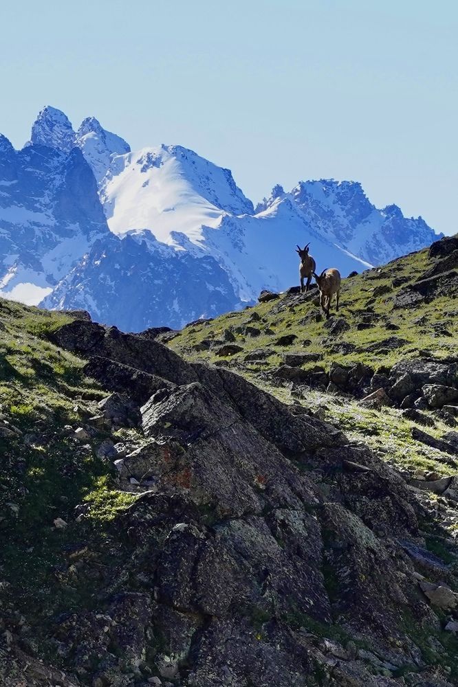 Photograph by Анжелика Гладких