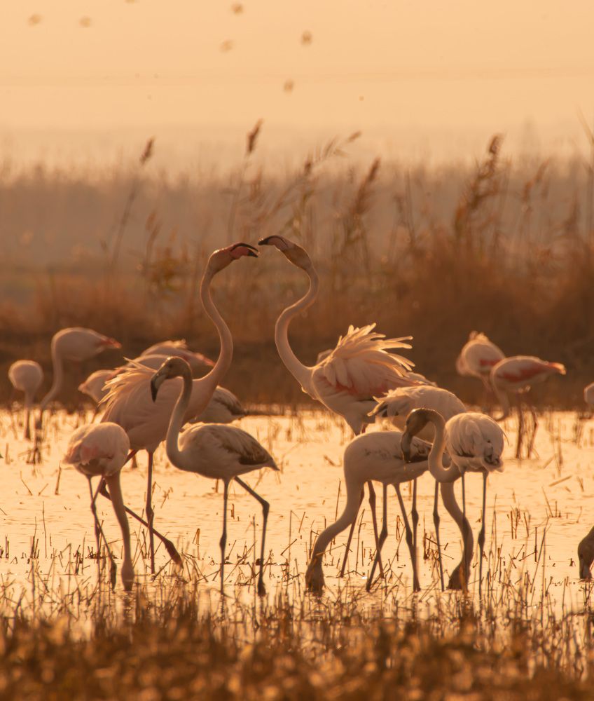 Photograph by Jessica Rojas