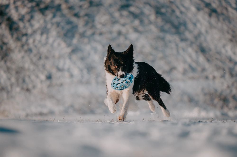 Photograph by Kate Entsi