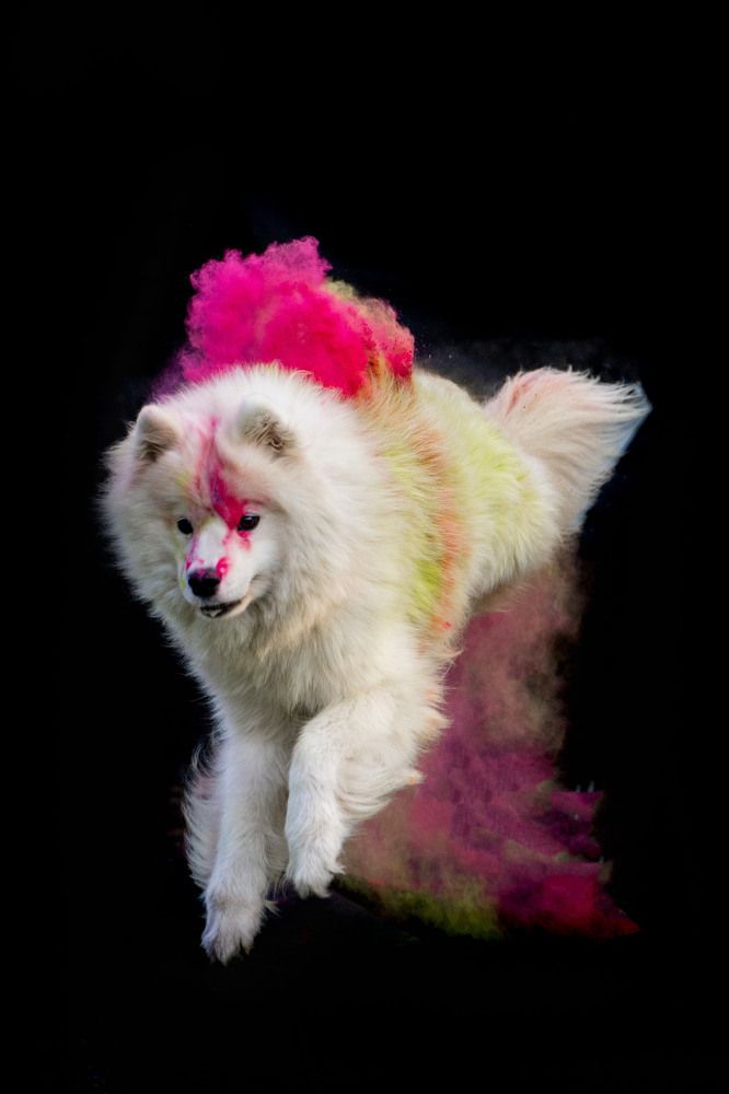 Фотография автора YuliaBets