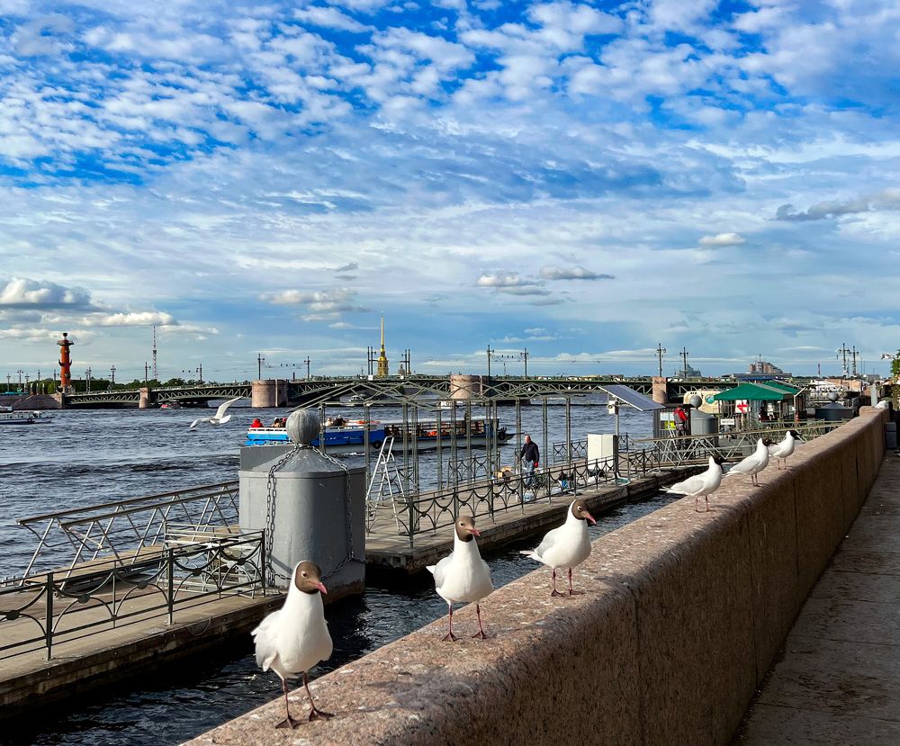 Photograph by Елена Сиушова