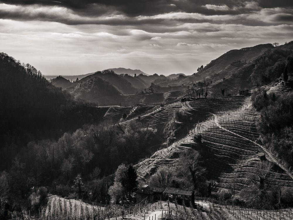 Photograph by Arcangelo Piai