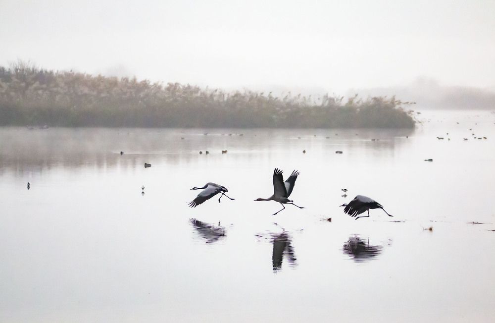 Photograph by Ольга