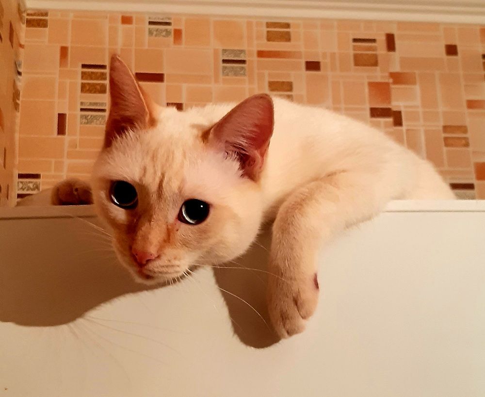 Photograph by Bauyrzhan Saukhatov