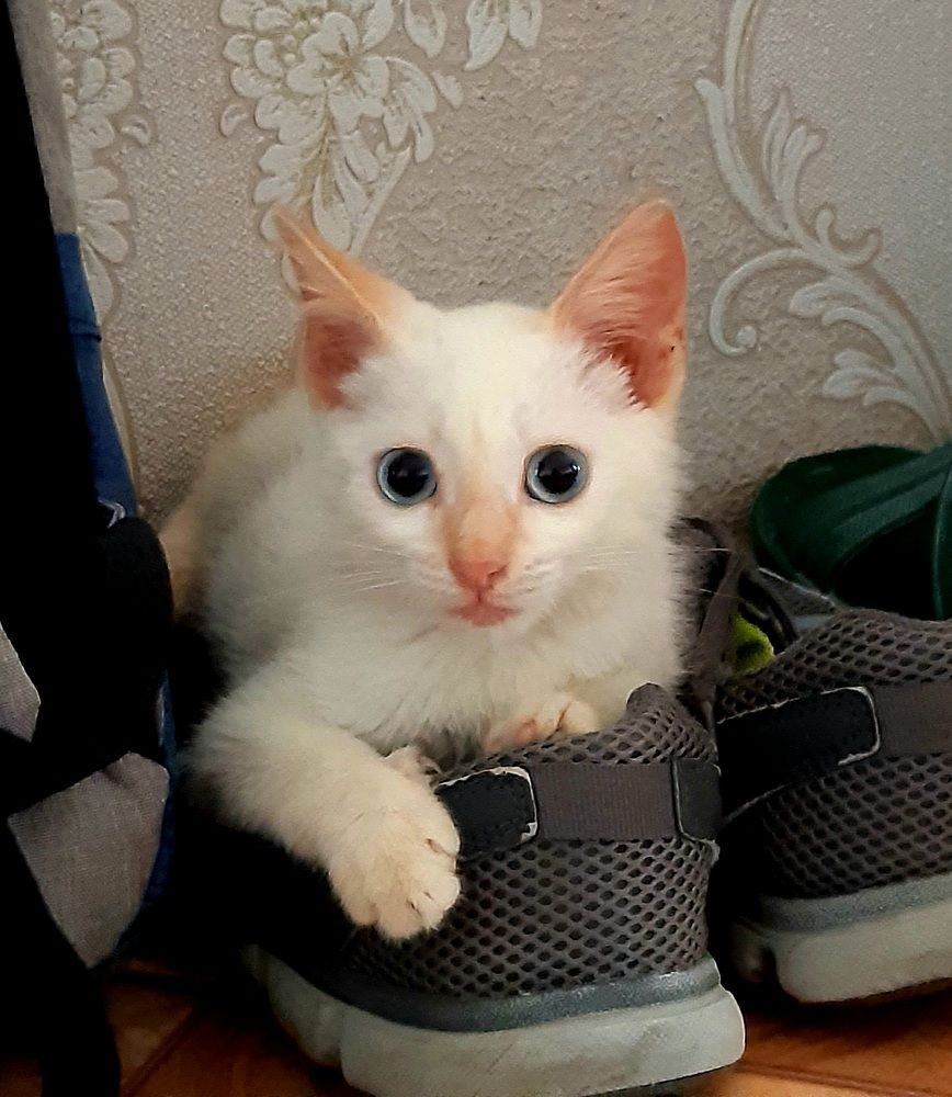 Photograph by Bauyrzhan Saukhatov