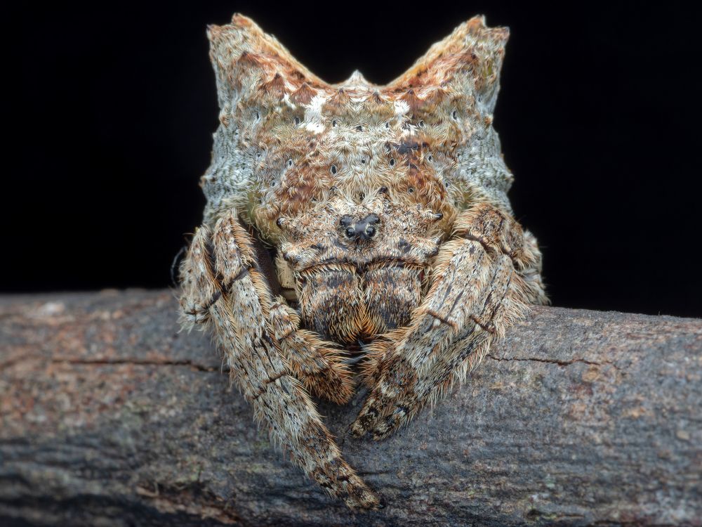 Photograph by KENNY FOONG