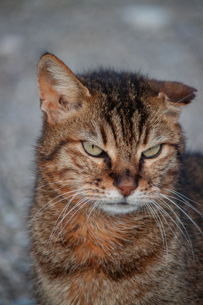 Photograph by Владислав Капанов
