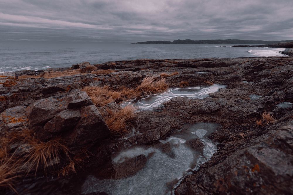 Photograph by Svetlana Zelyanina