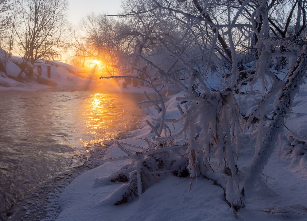 Photograph by Феденкова Татьяна