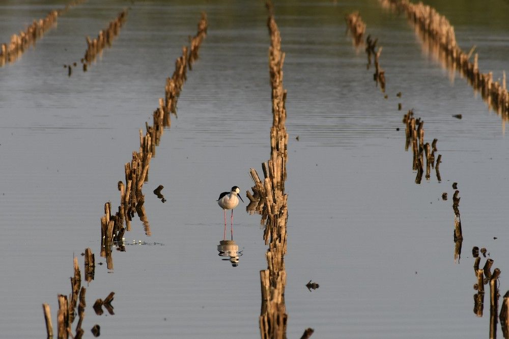 Photograph by Мерзликина Надежда