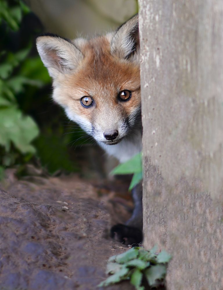 Photograph by Елена