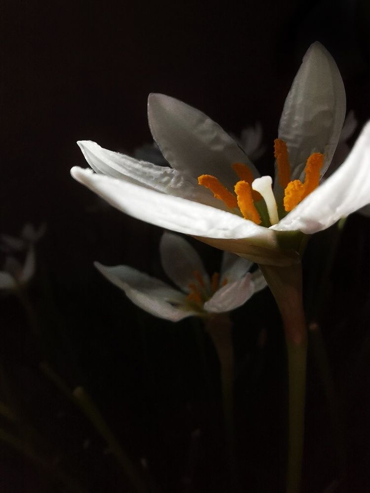 Photograph by Анна Кош