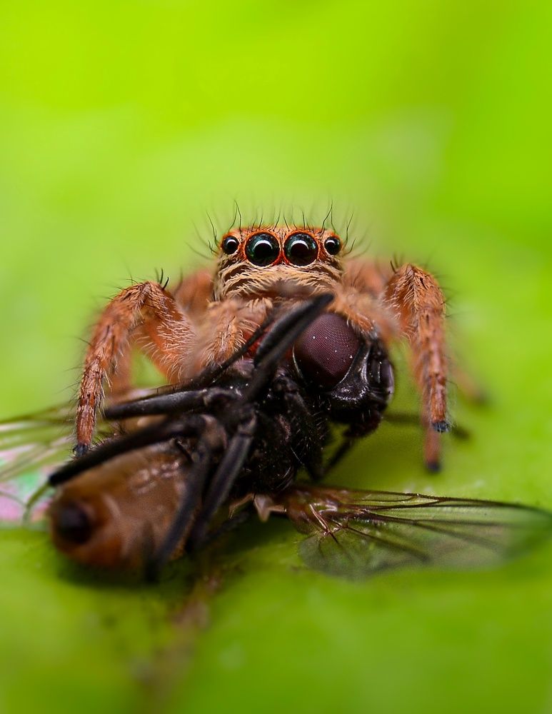 Photograph by Kasun Wickramasinghe