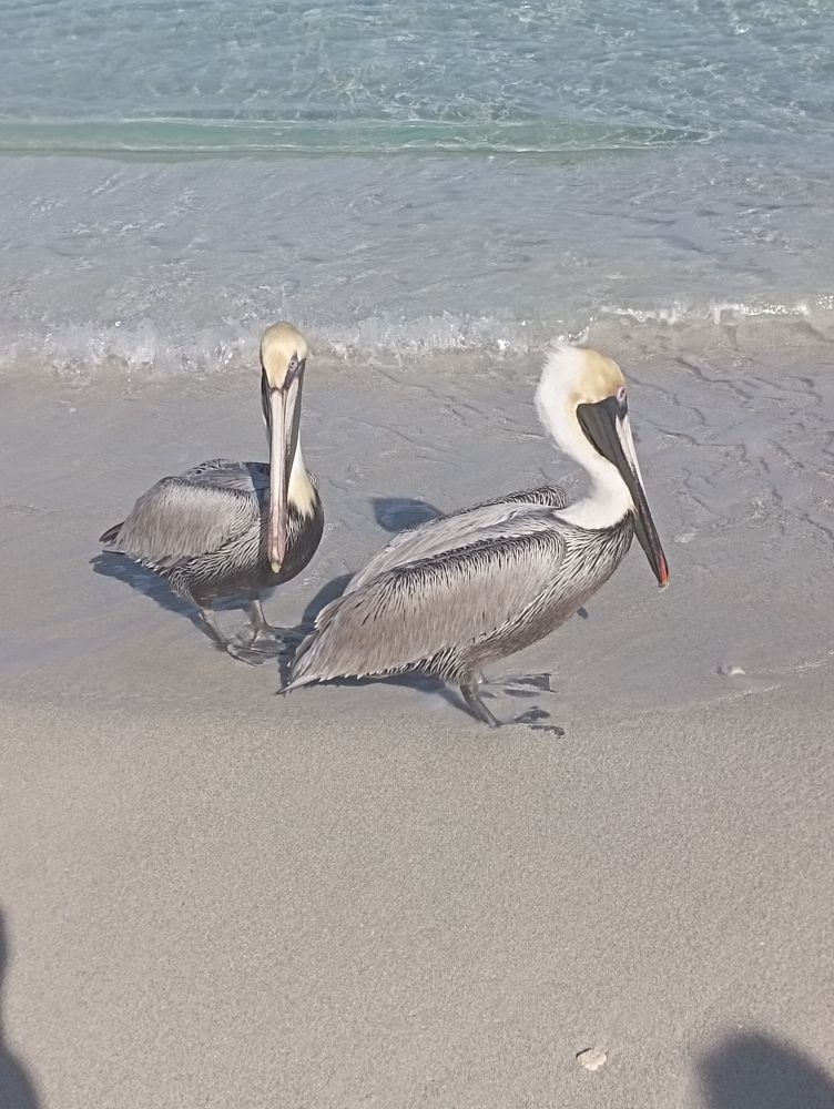 Фотография автора Natalia Khodina