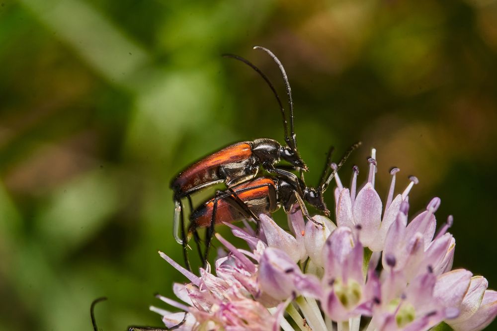Фотография автора Игорь Игоревич