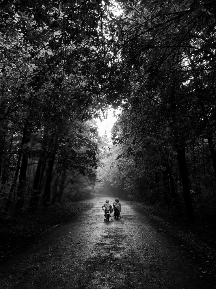 Туманное утро