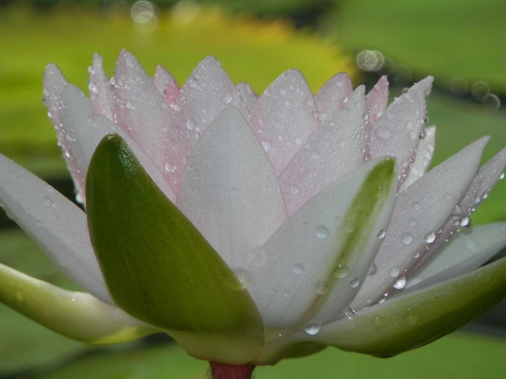 Photograph by Георгий Салюков