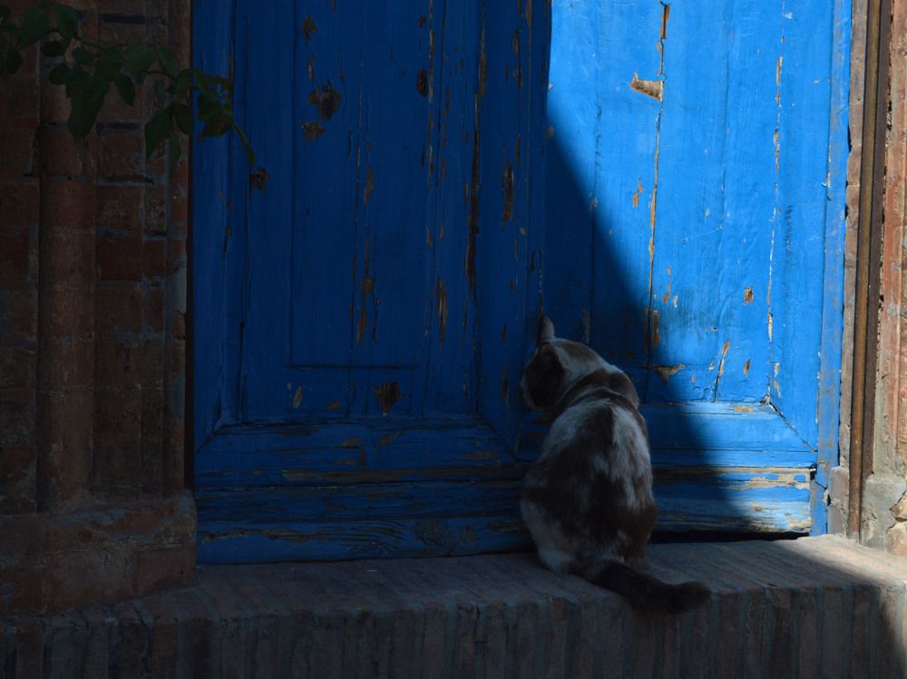 Photograph by Наталья Булава