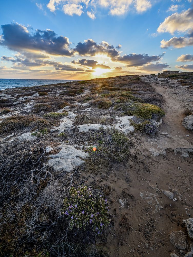Фотография автора Анатолий