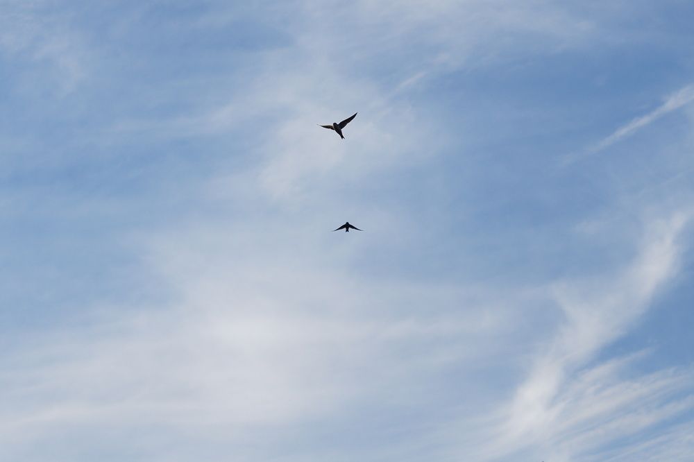 Photograph by Оксана Кобинец