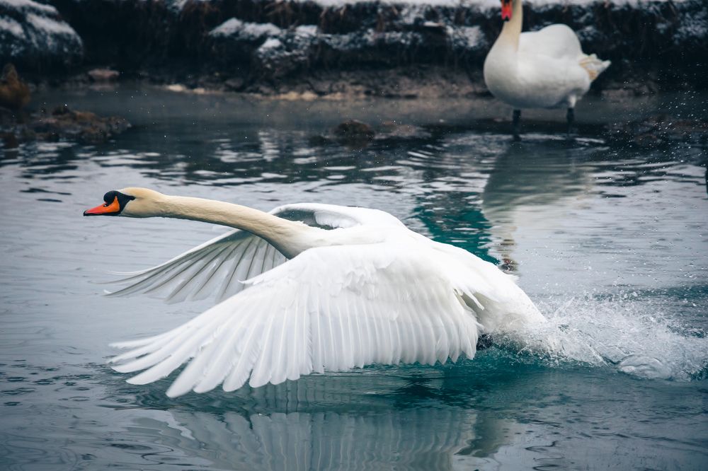 Photograph by Андрей