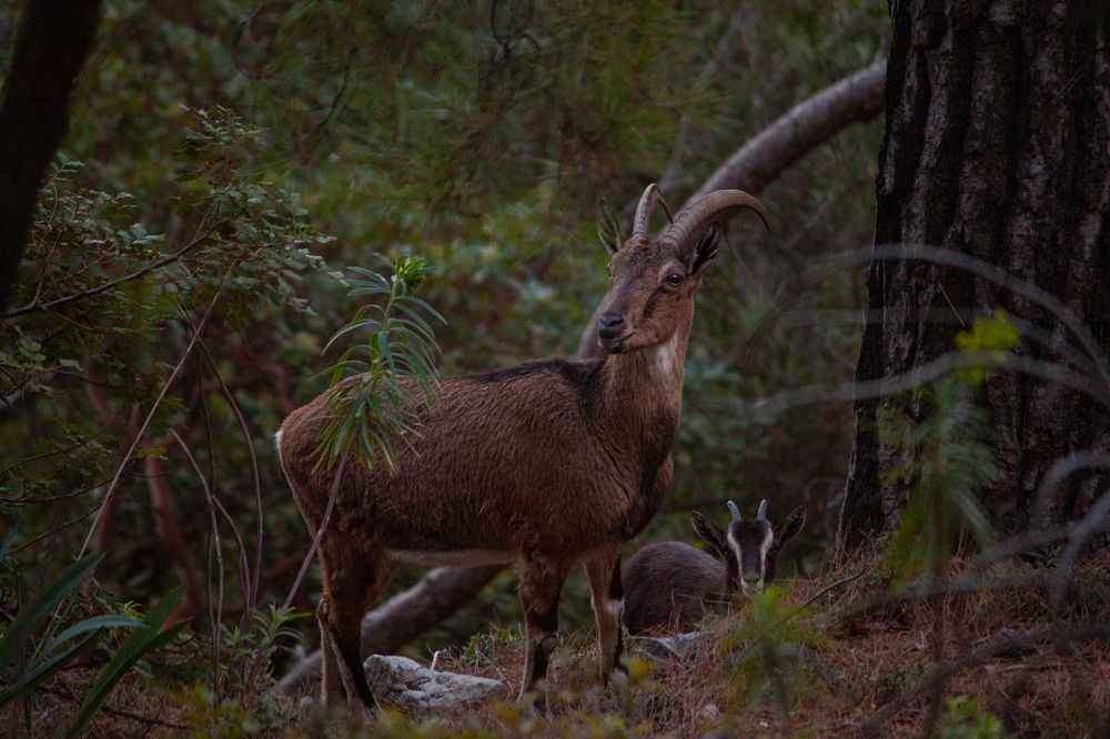 Photograph by Владислав Капанов