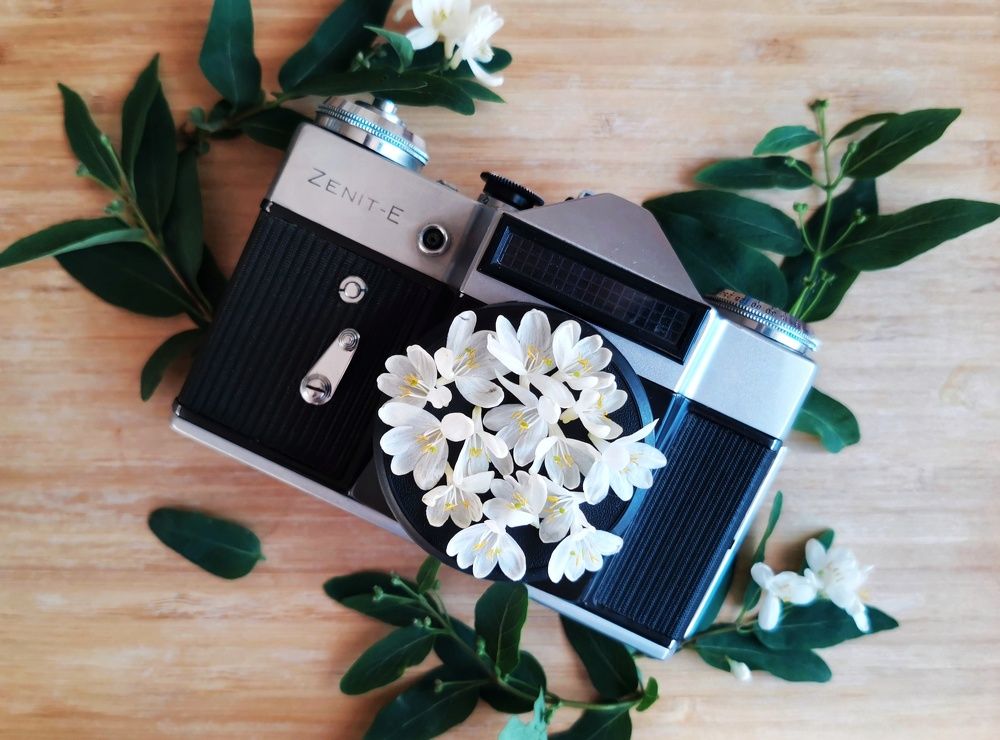 Photograph by Анна Кош