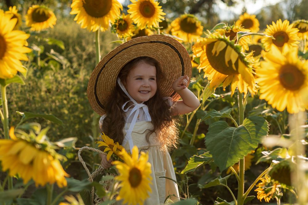 Брызги солнечного света…