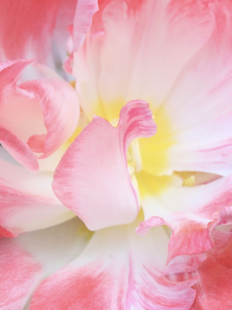 Photograph by Ирина Серегина