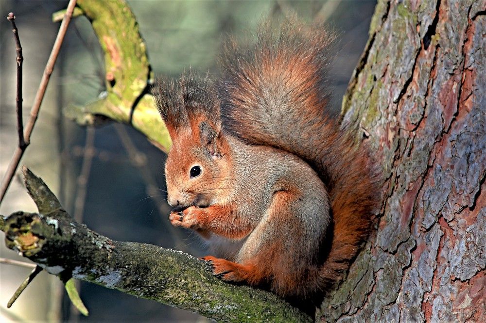 Photograph by Алексей Сиваков