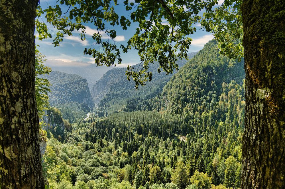 Photograph by Евгений Рощин